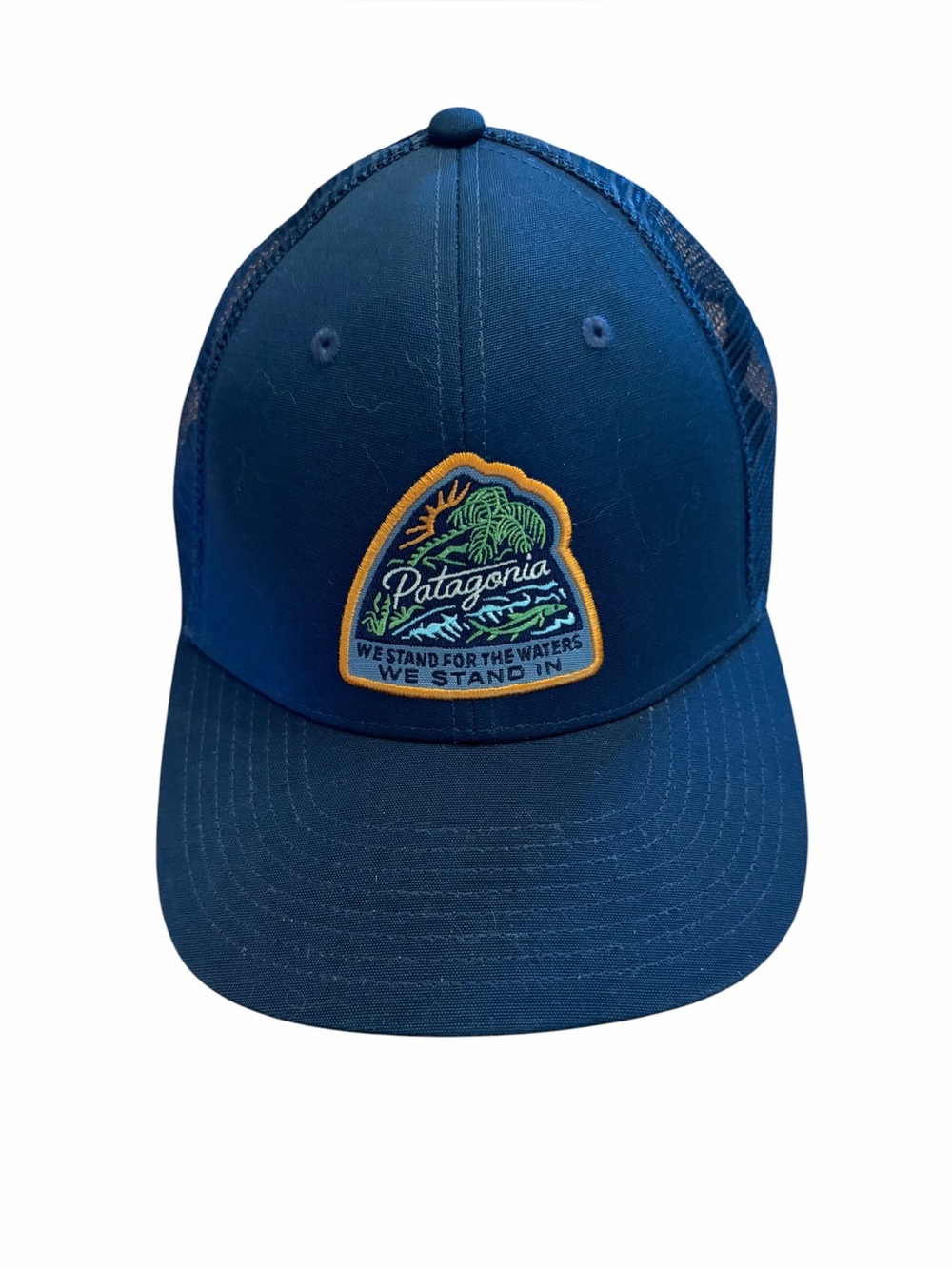 Patagonia Take A Stand Trucker Hat